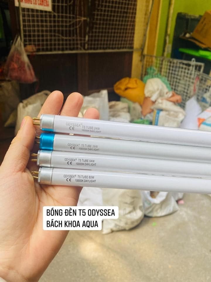 Bóng đèn thay thế T5 Odyssea